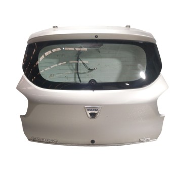 PORTON TRASERO 901009472R 