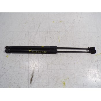 AMORTIGUADORES MALETERO / PORTON 844308661R 