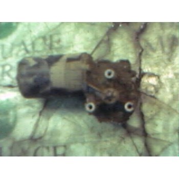 MOTOR LIMPIA DELANTERO 