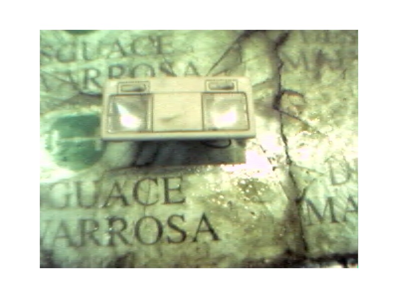 Recambio de piloto interior para seat toledo (1l) master referencia OEM IAM   