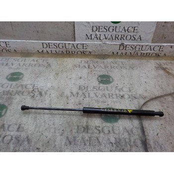 AMORTIGUADORES MALETERO / PORTON 1609616580 