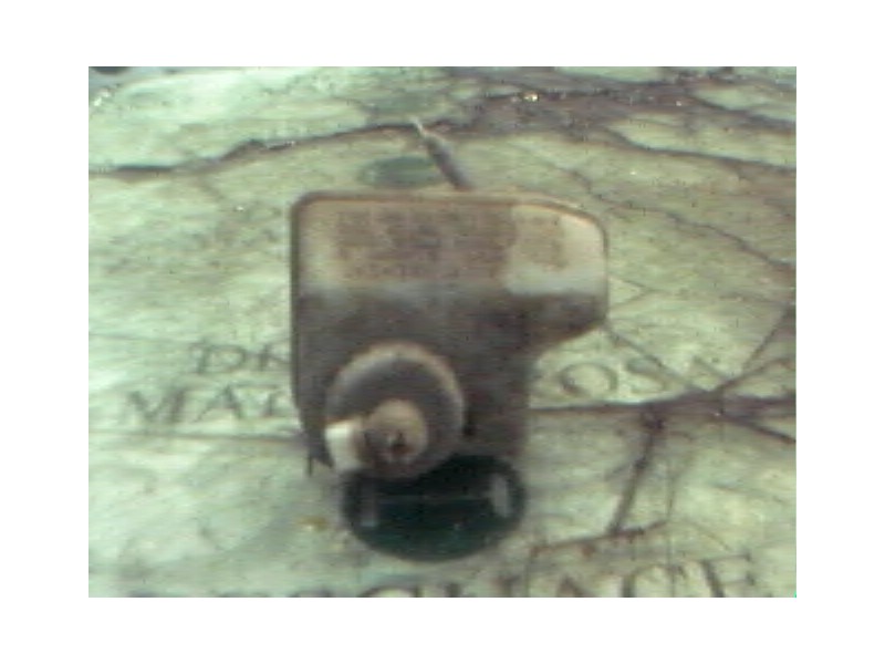 Recambio de deposito servo para seat toledo (1l) master referencia OEM IAM   