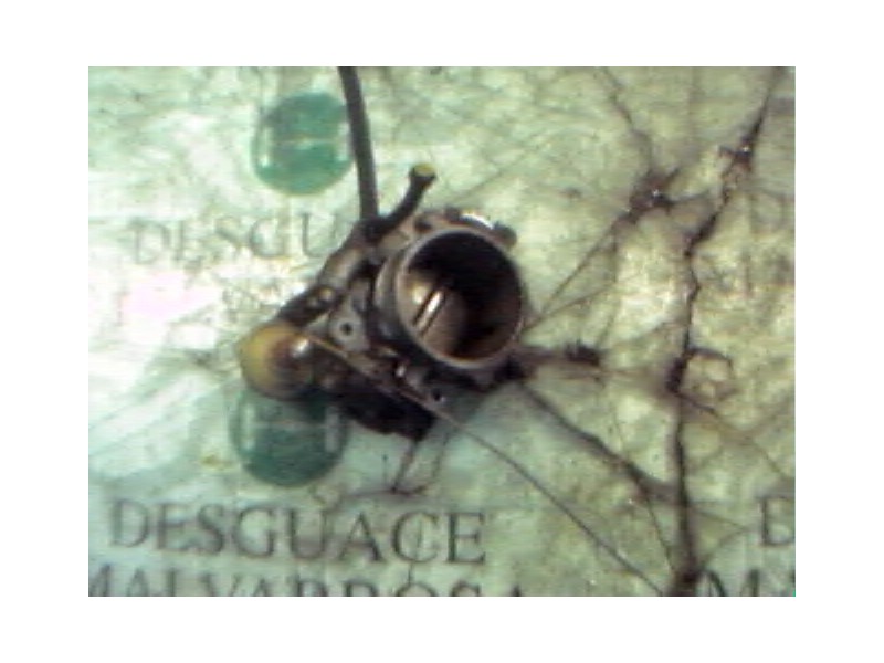 Recambio de caja mariposa para seat toledo (1l) master referencia OEM IAM   