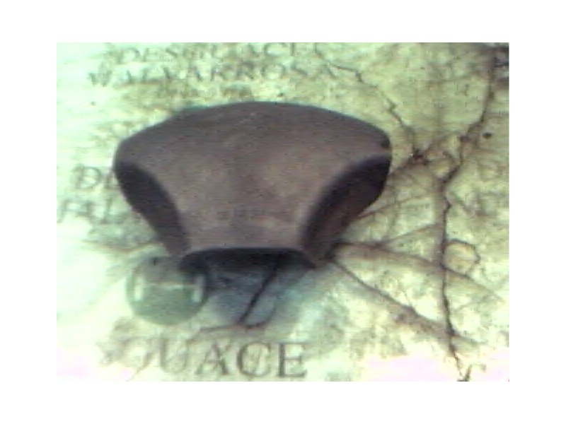 Recambio de airbag delantero izquierdo para ford escort berlina/turnier 1.8 turbodiesel referencia OEM IAM   