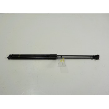 AMORTIGUADORES MALETERO / PORTON 6895002191 5576300310N 6895002191