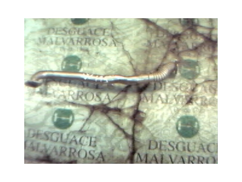 Recambio de tubo para opel astra h berlina elegance referencia OEM IAM   