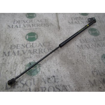 AMORTIGUADORES MALETERO / PORTON 