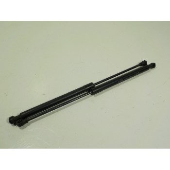 AMORTIGUADORES MALETERO / PORTON 904529943R 904529943R 