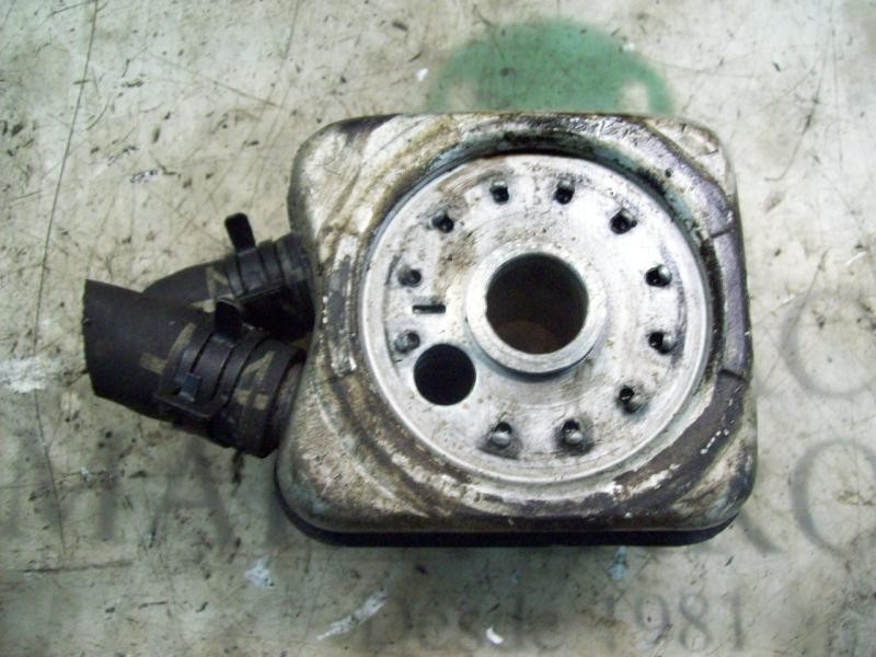 Recambio de enfriador aceite motor para volkswagen new beetle (9c1/1c1) 1.9 tdi referencia OEM IAM   