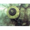 Recambio de deposito servo para renault megane i fase 2 berlina (ba0) 1.9 d rt referencia OEM IAM   