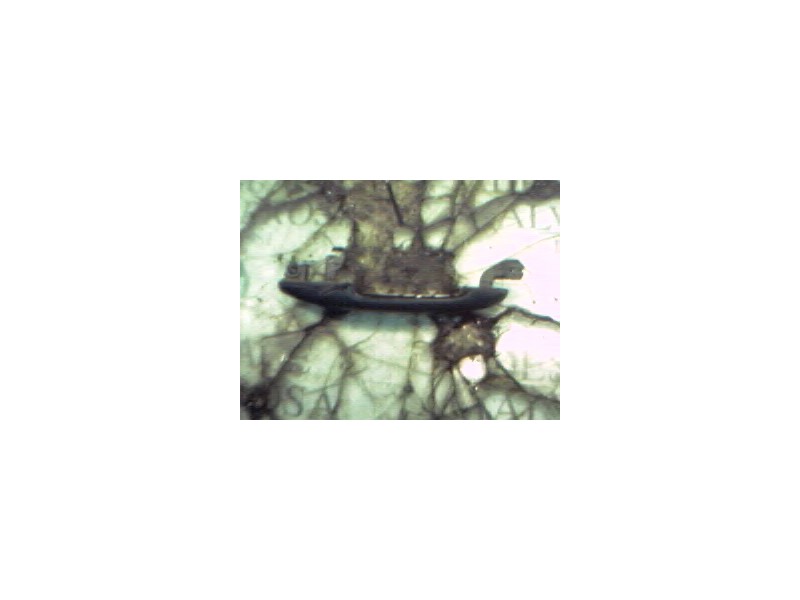 Recambio de maneta exterior delantera derecha para seat cordoba berlina (6k2) stella referencia OEM IAM   