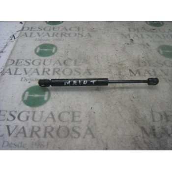 AMORTIGUADORES MALETERO / PORTON 