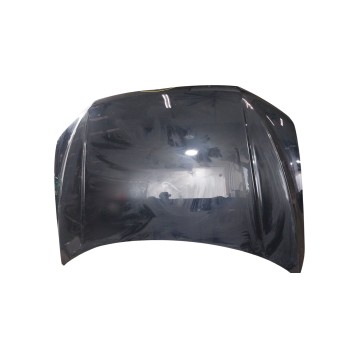 CAPOT DELANTERO 2GA823031A 