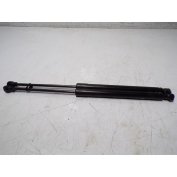 AMORTIGUADORES MALETERO / PORTON 