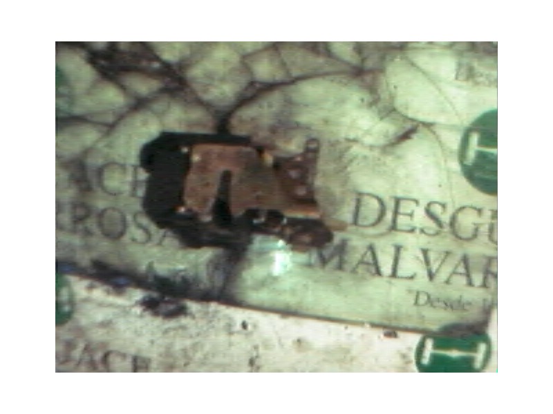 Recambio de cerradura puerta delantera derecha para fiat brava (182) 1.4 12v sx referencia OEM IAM   