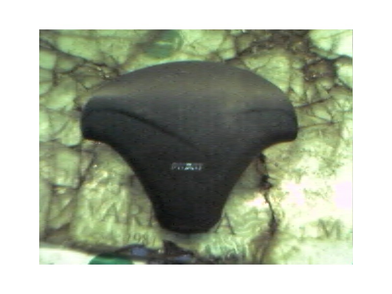 Recambio de airbag delantero izquierdo para fiat brava (182) 1.4 12v sx referencia OEM IAM   