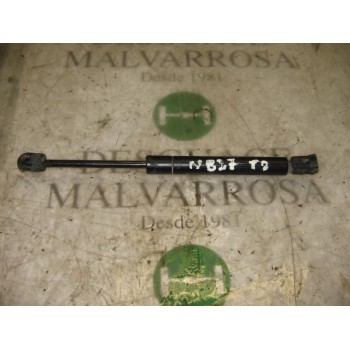 AMORTIGUADORES MALETERO / PORTON 