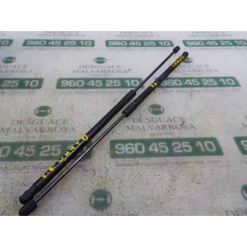 AMORTIGUADORES MALETERO / PORTON 