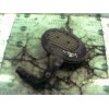 Recambio de filtro aire para ford escort berlina/turnier 1.6 16v cat referencia OEM IAM   