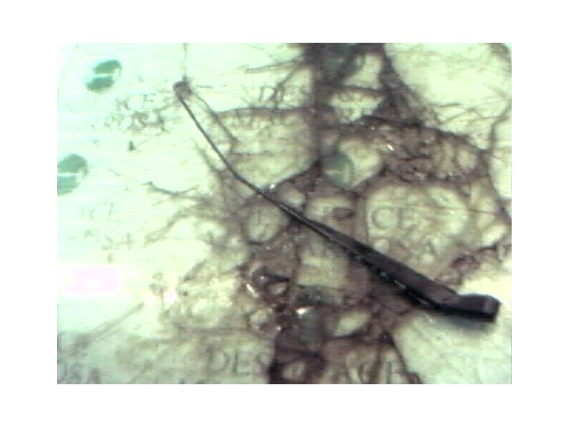 Recambio de brazo limpia delantero izquierdo para citroën c3 1.4 collection referencia OEM IAM   