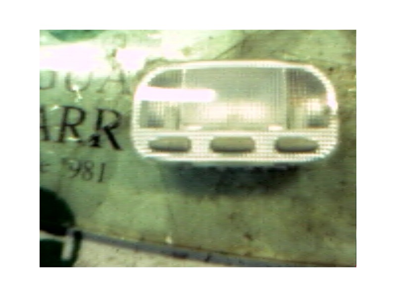 Recambio de piloto interior para citroën c3 1.4 collection referencia OEM IAM   