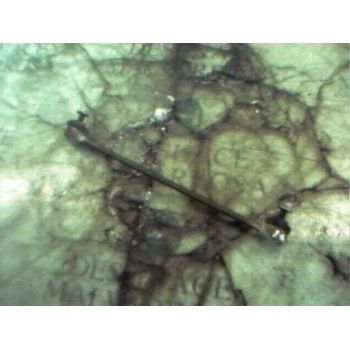 TIRANTE DELANTERO DERECHO 