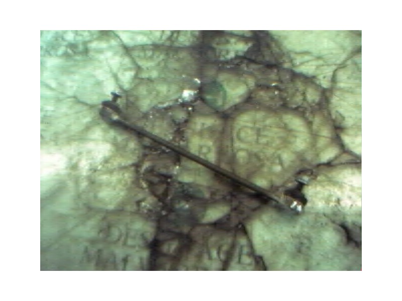 Recambio de tirante delantero derecho para citroën c3 1.4 collection referencia OEM IAM   