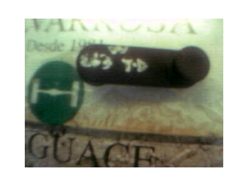 Recambio de maneta elevalunas trasera derecha para renault scenic (ja..) 1.9 dti rt referencia OEM IAM   