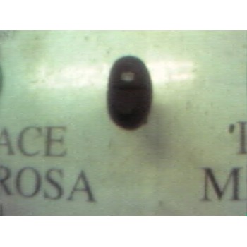 MODULO ELECTRONICO 