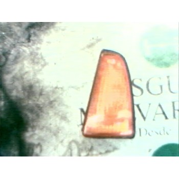 PILOTO DELANTERO IZQUIERDO 