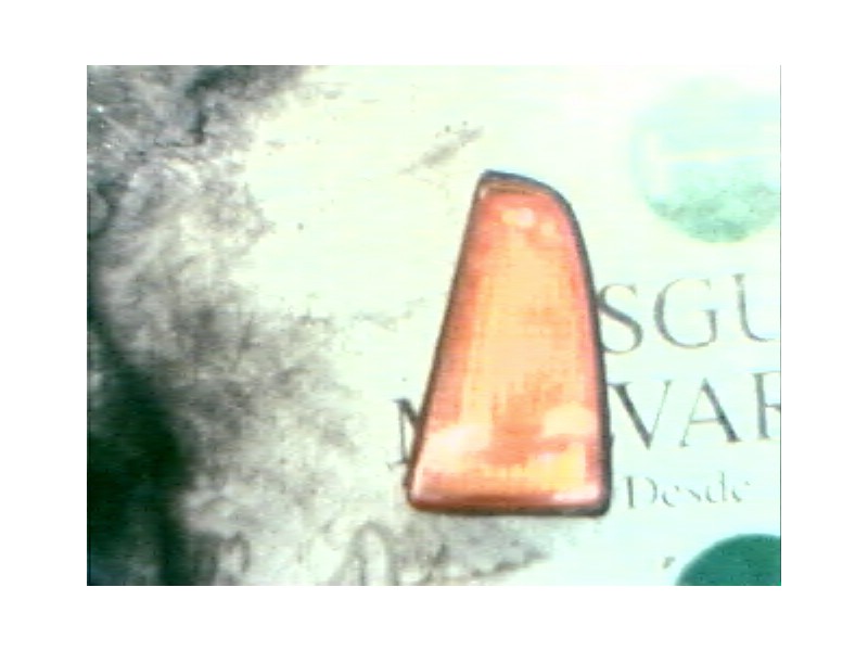 Recambio de piloto delantero izquierdo para fiat cinquecento (170) referencia OEM IAM   