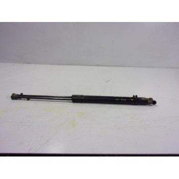 AMORTIGUADORES MALETERO / PORTON 9813913880 