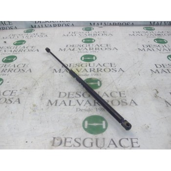 AMORTIGUADORES MALETERO / PORTON 