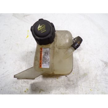 DEPOSITO EXPANSION 2243061000 