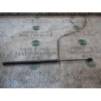 AMORTIGUADORES MALETERO / PORTON 13258179 