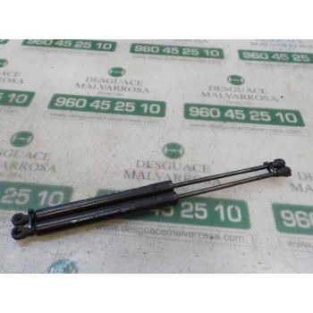 AMORTIGUADORES MALETERO / PORTON 