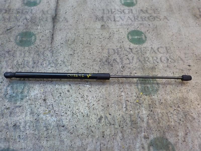 Recambio de amortiguadores maletero / porton para ford fiesta (ccn) trend referencia OEM IAM 1666068  