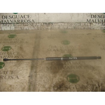 AMORTIGUADORES MALETERO / PORTON 