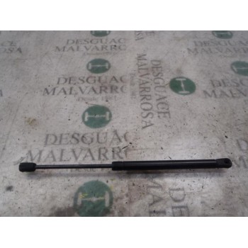 AMORTIGUADORES MALETERO / PORTON 