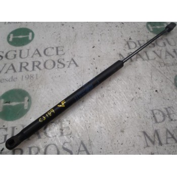 AMORTIGUADORES MALETERO / PORTON 