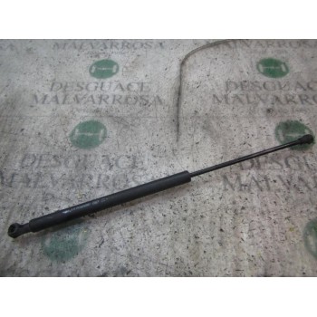 AMORTIGUADORES MALETERO / PORTON 