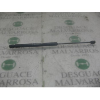 AMORTIGUADORES MALETERO / PORTON 