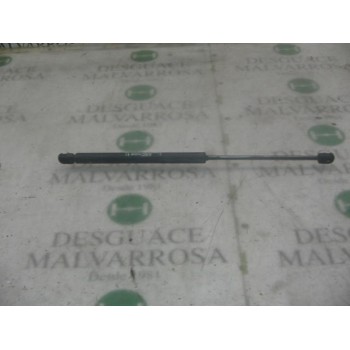 AMORTIGUADORES MALETERO / PORTON 