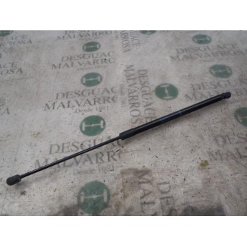 AMORTIGUADORES MALETERO / PORTON 