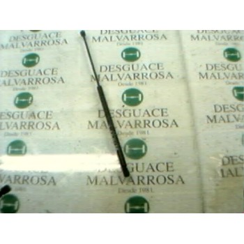 AMORTIGUADORES MALETERO / PORTON 