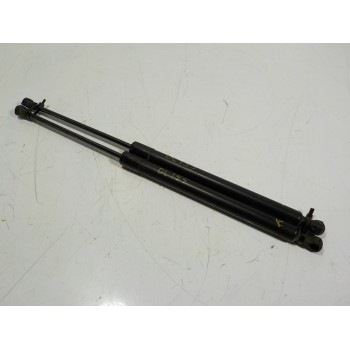 AMORTIGUADORES MALETERO / PORTON 1609616580 9673083680 