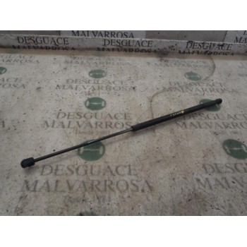 AMORTIGUADORES MALETERO / PORTON 