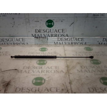 AMORTIGUADORES MALETERO / PORTON 