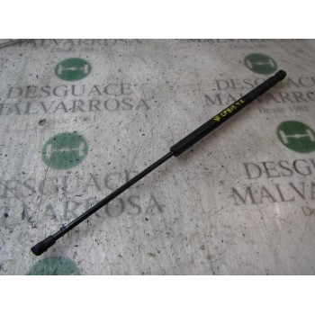 AMORTIGUADORES MALETERO / PORTON 