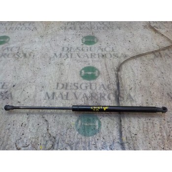 AMORTIGUADORES MALETERO / PORTON 51785412 